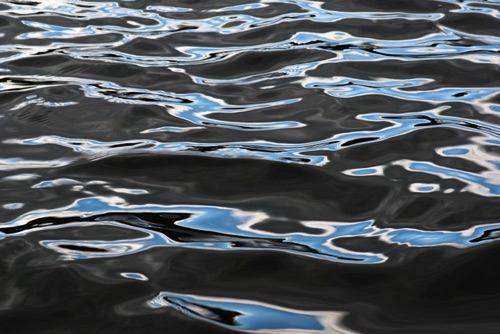 Water Detail, Upland Pond, Sussex County, NJ 09 07 (6916SA).jpg